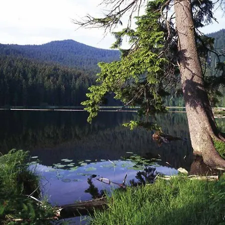 Σπίτι διακοπών Ferienhauser Waldferiendorf *